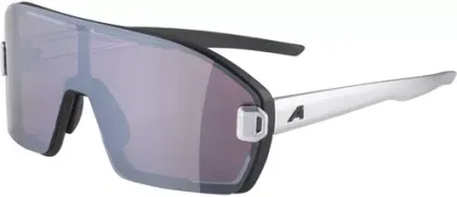 ALPINA Okuliare BONFIRE MAG black-alu matt Q+black