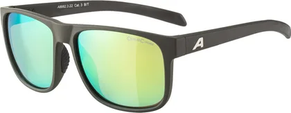 ALPINA Okuliare NACAN III coffe-grey matt