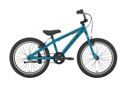 MARIN Donky Jr 20" 1sp, modrá