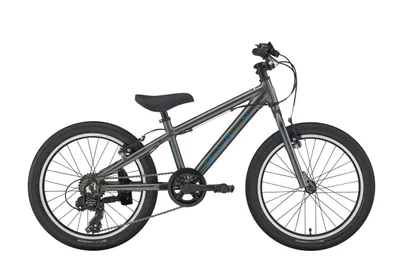 MARIN Donky Jr 20" 6sp, metalická šedá