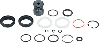 Servisná sada RockShox 200H/1YR Domain R/RC B1