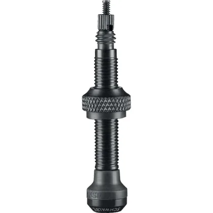 Ventil SV Tubeless 60mm 2ks