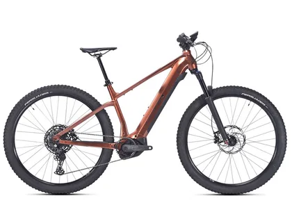 SUNN RAGE 29" 2025 L, Sivá