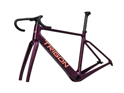 Trigon RC2 Burgundy-Dreamer 2026, Fialová