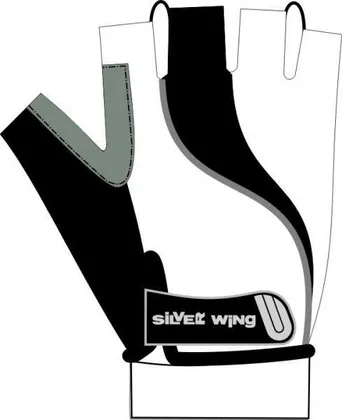 Silver Wing BASIC