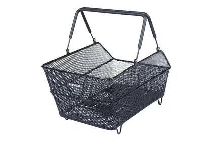 Basil CENTO Multi System