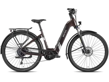 BESV BESV Horský elektrobicykel TR 1.3 LS 2024 Horský elektrobicykel TR 1.3 LS 2024 M M, Fialová