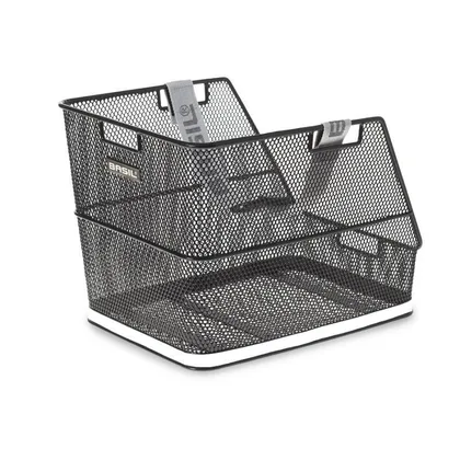 Basil CLASS BASKET