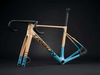 Trigon AR01 Fade-Light 2026, Modrá/Hnedá
