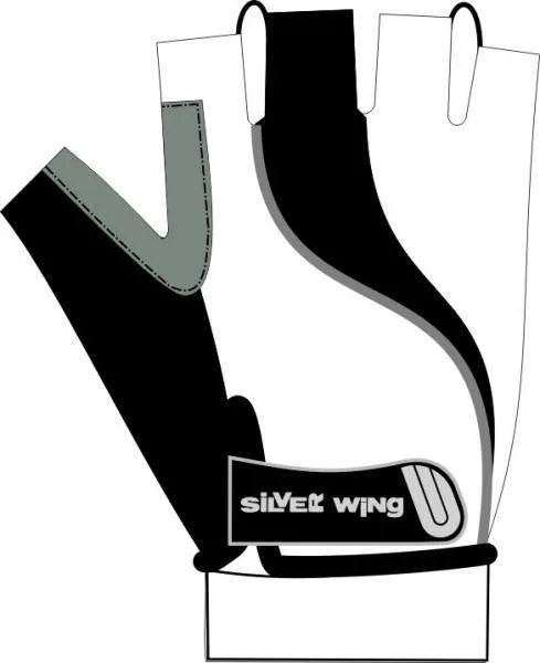 Silver Wing BASIC