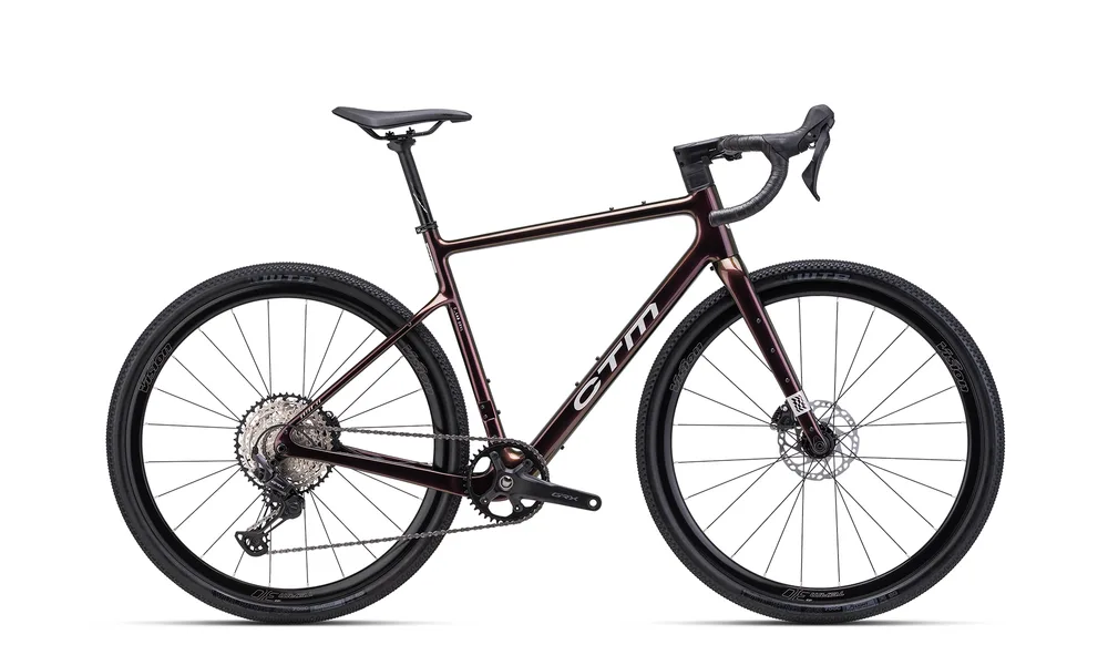 CTM KOYUK CR - chameleon