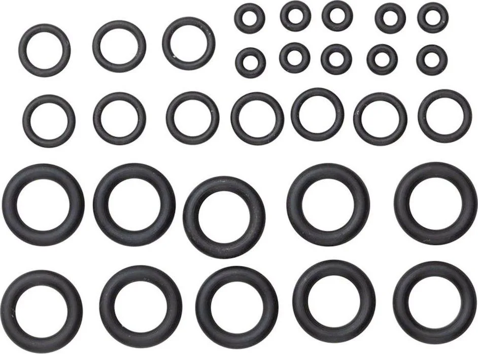 O-krúžky pre striekačku SRAM Pro Bleed, 10 ks, SRAM DOT