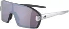 ALPINA Okuliare BONFIRE MAG black-alu matt Q+black