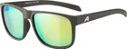 ALPINA Okuliare NACAN III coffe-grey matt