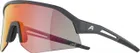 ALPINA Okuliare SONIC HR QV midnight-grey mat