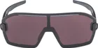 ALPINA Okuliare BONFIRE MAG Q black matt Q+black