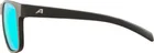 ALPINA Okuliare NACAN III coffe-grey matt
