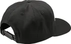 Šiltovka TLD Curved Snapback Signature Black