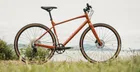 MARIN DSX 2, oranžový