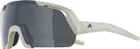 ALPINA Okuliare ROCKET YOUTH cool-grey matné