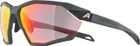 ALPINA Cyklistické okuliare TWIST SIX QV midnight-grey