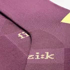 Ponožky Fizik Team Edition Grape