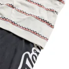 Pánsky dres s dlhým rukávom TLD Skyline Fakie Ride Tee Stripe Pumice