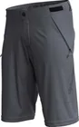 Voľné kraťasy TLD Skyline Air Mono Charcoal