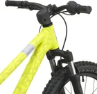 Scott Roxter 200, Zesty Yellow