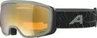 ALPINA Lyžiarske okuliare BIVIO willow-green matt Q-LITE gold