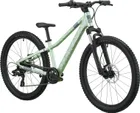 Scott Roxter 400, Pastel Green
