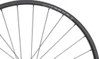 NEWMEN Forge 30 XC 29", zadné koleso