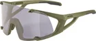 ALPINA Okuliare HAWKEYE olive-matt Q-LITE V