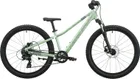 Scott Roxter 400, Pastel Green