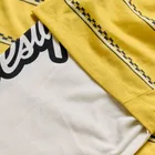 Pánsky dres s dlhým rukávom TLD Skyline Fakie Ride Tee Stripe Butter