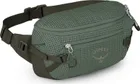 Ľadvinka Osprey Transporter Waist Pack Pine Leaf
