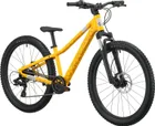 Scott Roxter 400, Sunny Yellow