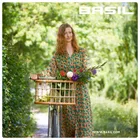 Basil GREEN LIFE