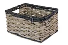 Basil DIJON L basket
