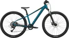 Scott Roxter 600, Transformative Green