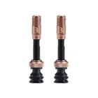 BBB BTI-166 Corecap AL Valve