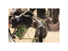 Muc-Off Chain Cleaner 400 ml