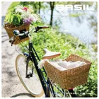 Basil CENTO RATTAN