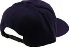 Šiltovka TLD Curved Snapback Hat Badge Indigo
